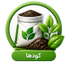 کودها